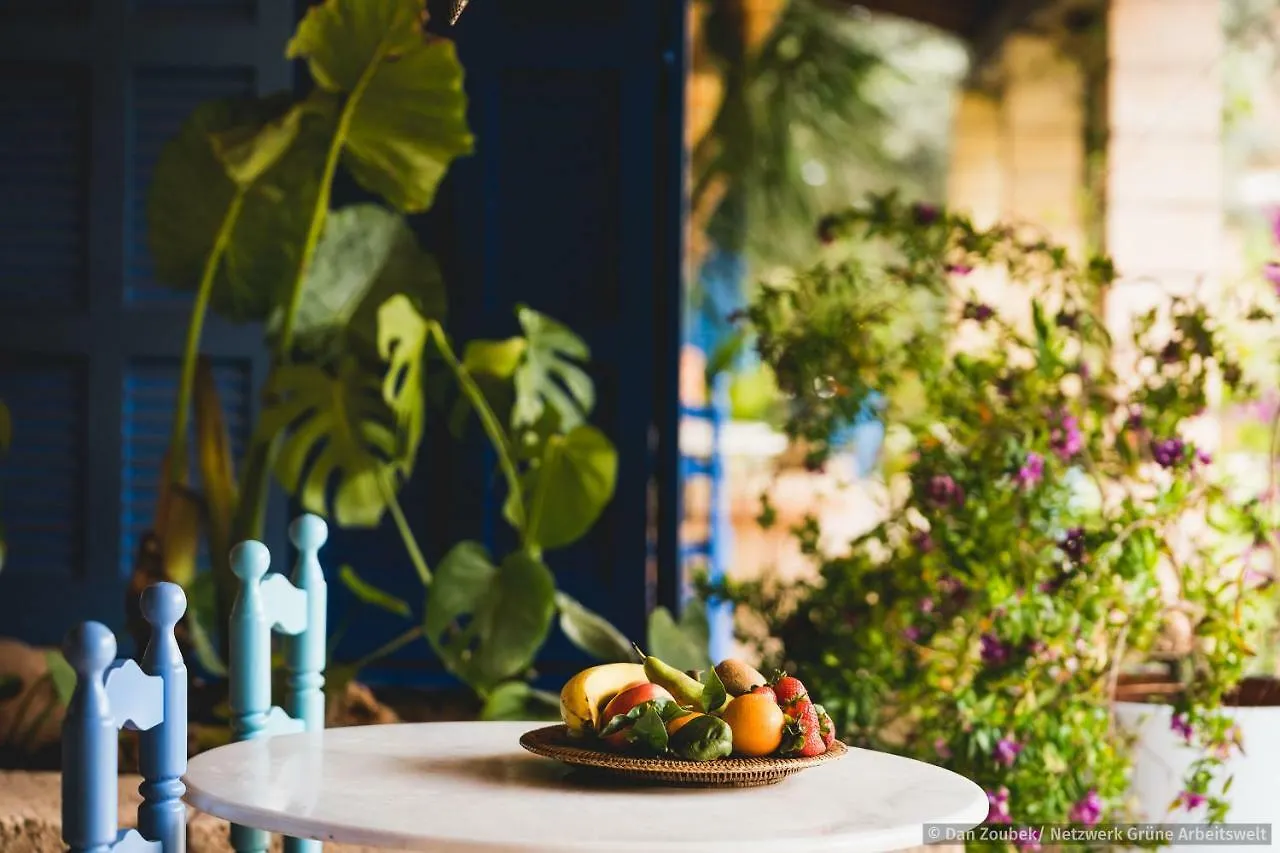 Holiday home Sa Vaqueria Villa Porto Cristo