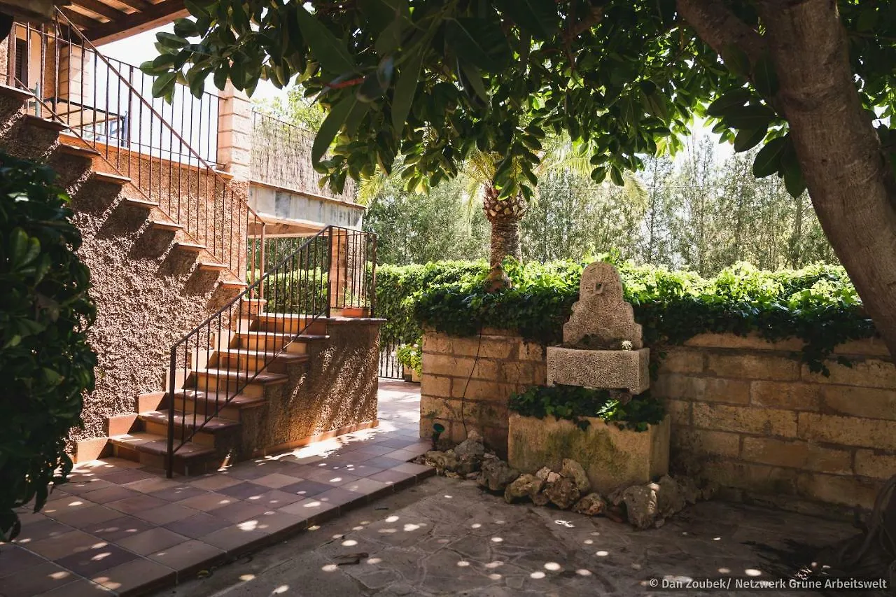 Sa Vaqueria Villa Porto Cristo Holiday home